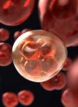 5. Díl - Hormony v rytmu: Tvoje tělo ví, kdy co má dělat